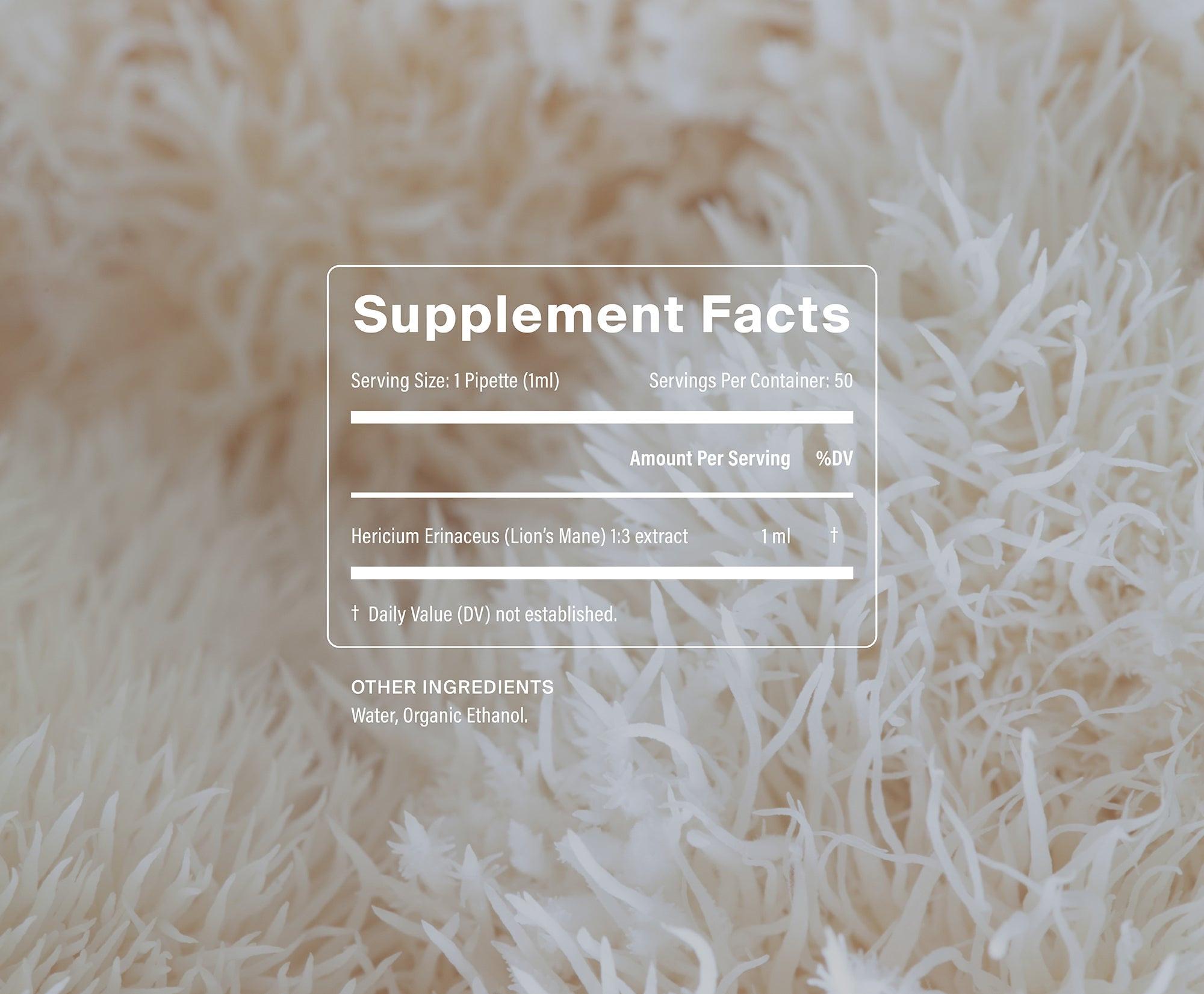 Manapura Organic Lion's Mane Tincture | Cognitive Function & Brain Health Support
