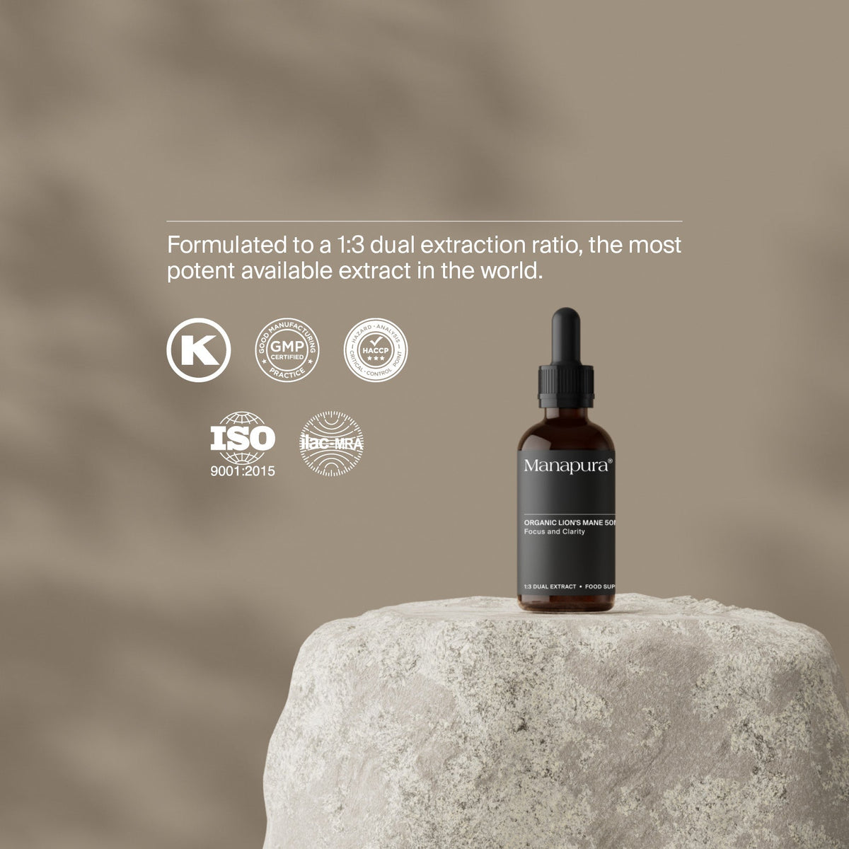Manapura Organic Lion's Mane Tincture | Cognitive Function & Brain Health Support