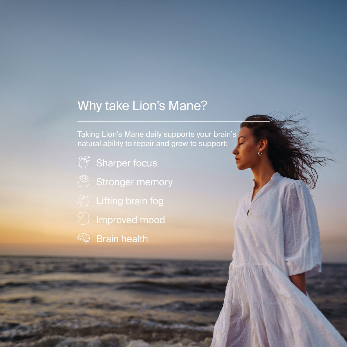 Manapura Organic Lion's Mane Tincture | Cognitive Function & Brain Health Support