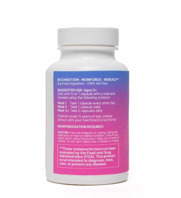 MegaSporeBiotic 60 Capsules