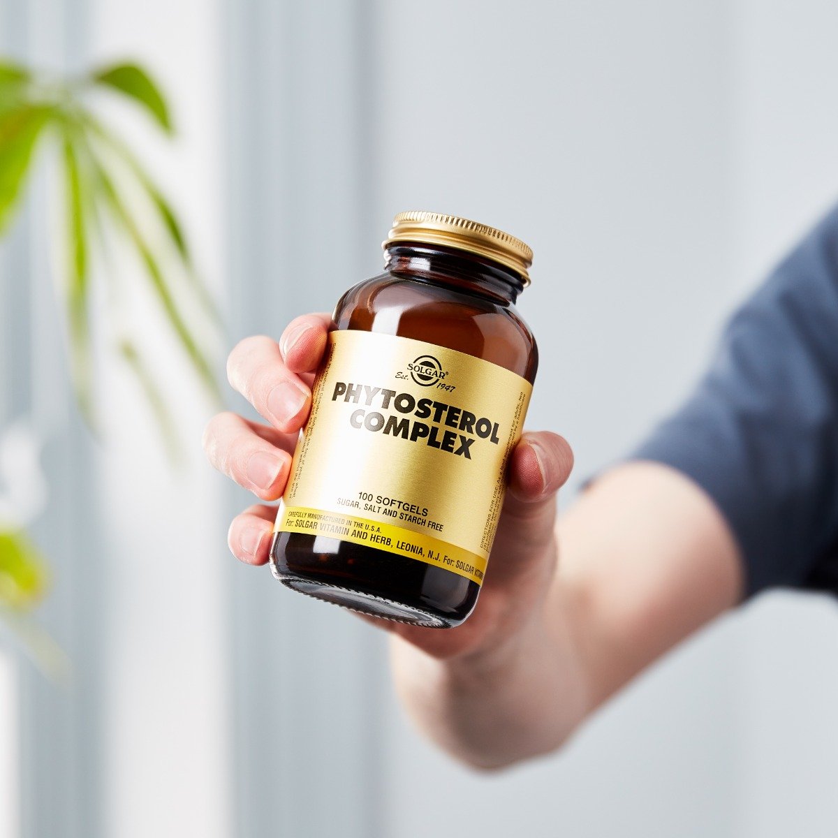 Solgar Phytosterol Compex 100 softgels
