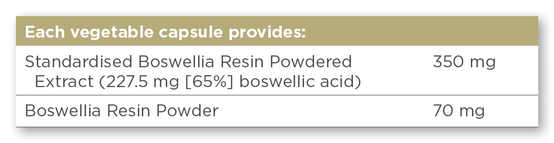 Boswelia Resin Extract 60
